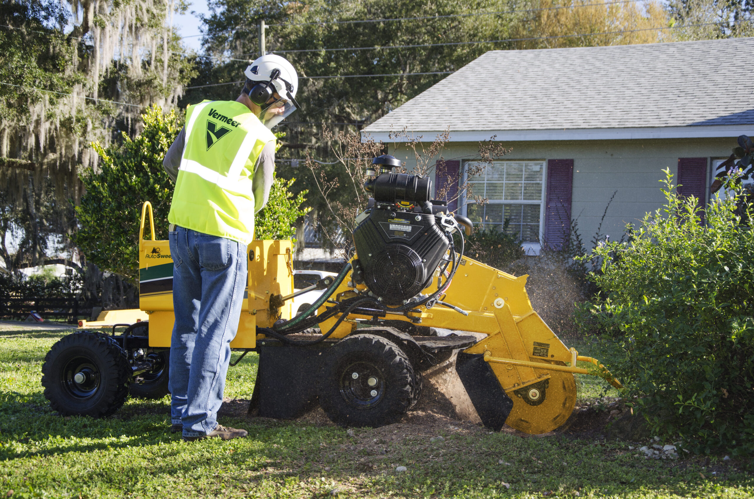 Small Image